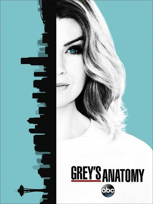 مسلسل Greys Anatomy الموسم 13 الحلقة 1