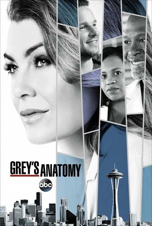 مسلسل Greys Anatomy الموسم 14 الحلقة 6