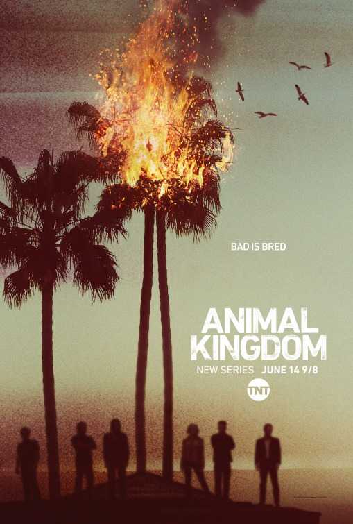 مسلسل Animal Kingdom الموسم الاول الحلقة 9