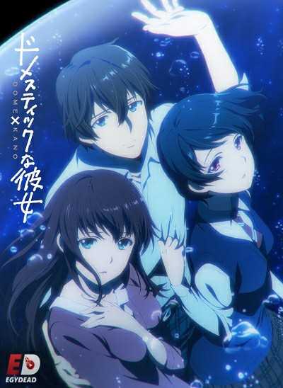 مشاهدة انمي Domestic na Kanojo الحلقة 11