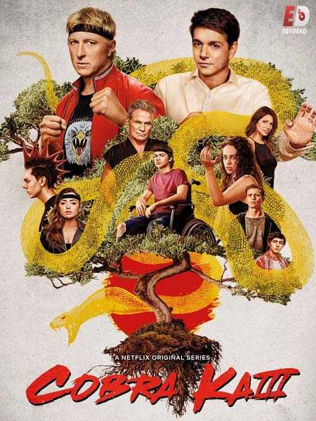 مسلسل Cobra Kai الموسم الثالث الحلقة 4 مترجمة