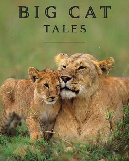 مسلسل Big Cat Tales الموسم الاول الحلقة 2 مترجمة
