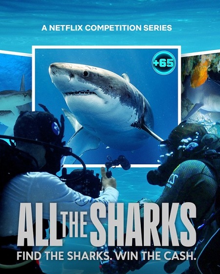 برنامج All the Sharks الموسم الاول الحلقة 3 مترجمة